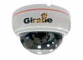 GF-D4423AHD